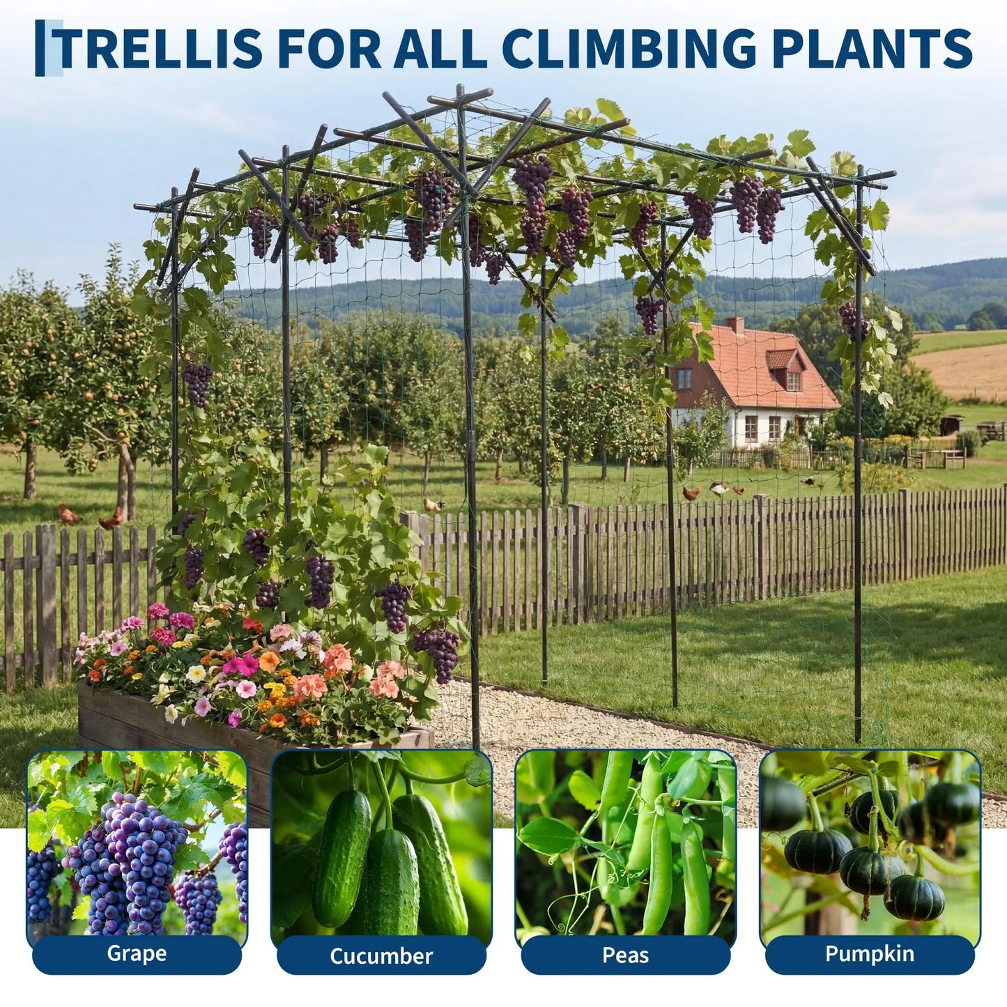 Large Metal Garden Arch Trellis 78"x78"x78", Outdoor Climbing Plant Support for Grapes and Cucumbers, Ideal for Gardens, Walkways, and Yards