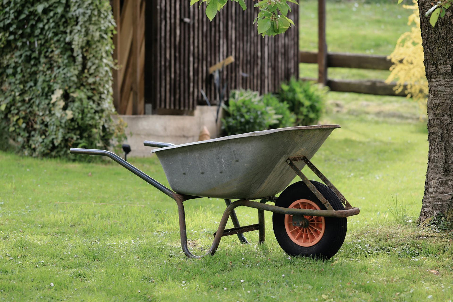 Lawn & Garden