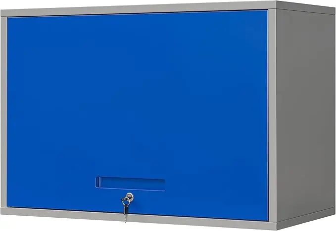 Metal Garage Wall Cabinet with Doors and Shelves, Wall Mounted Metal Storage Cabinet, Floating Garage Tool Cabinet, Customized