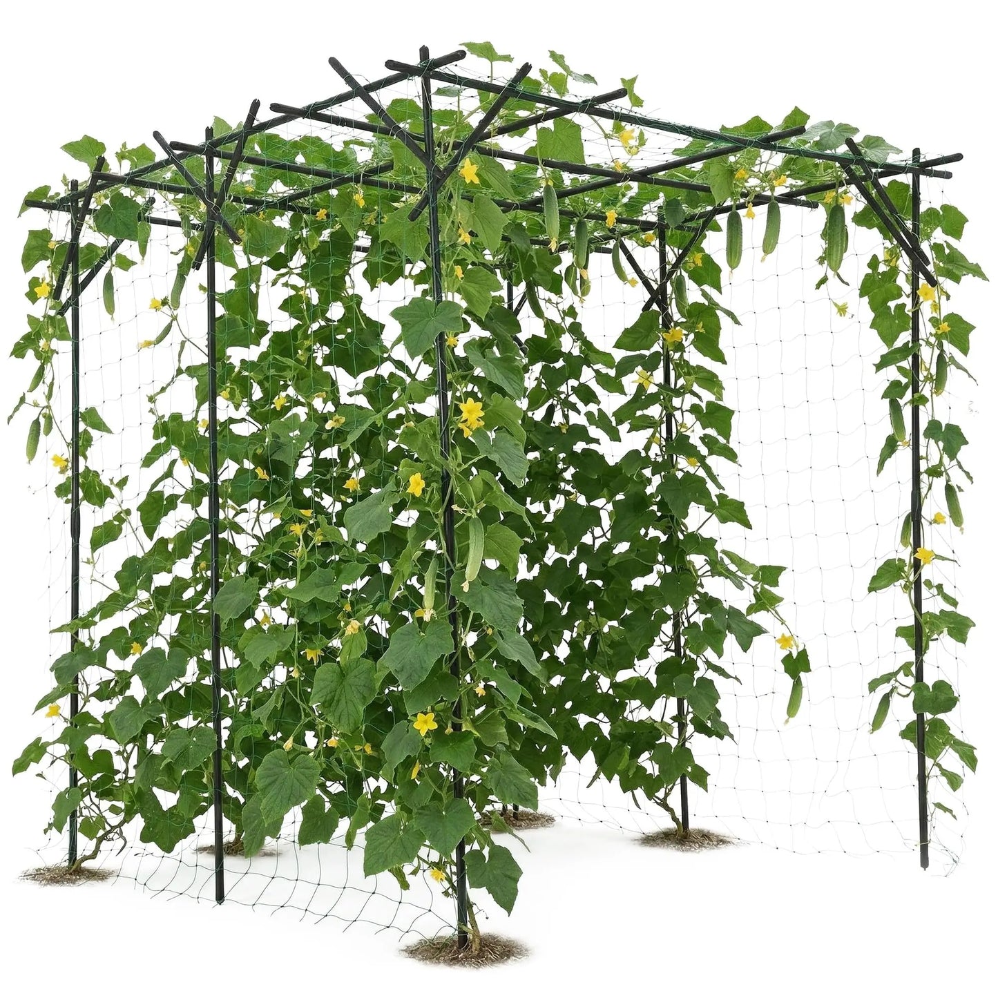 Large Metal Garden Arch Trellis 78"x78"x78", Outdoor Climbing Plant Support for Grapes and Cucumbers, Ideal for Gardens, Walkways, and Yards