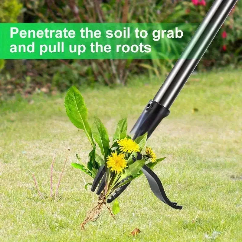 Stainless Steel 4-Prong Weed Puller With Adjustable Handle